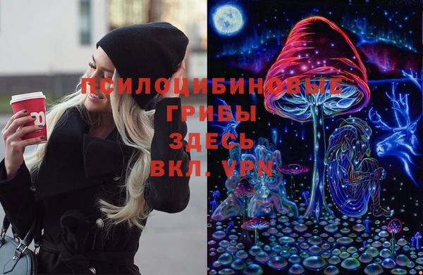 ГАЛЛЮЦИНОГЕННЫЕ ГРИБЫ Балабаново