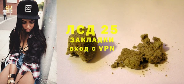 ГАЛЛЮЦИНОГЕННЫЕ ГРИБЫ Балабаново