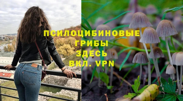 ГАЛЛЮЦИНОГЕННЫЕ ГРИБЫ Балабаново