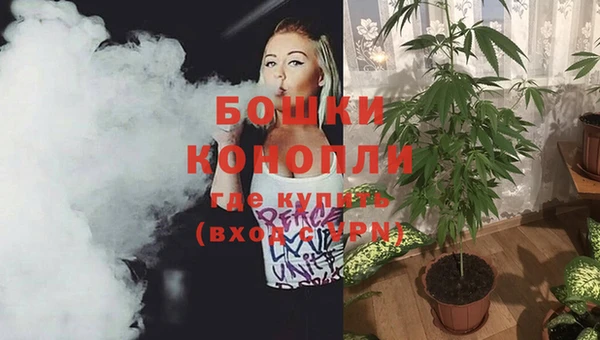 ГАЛЛЮЦИНОГЕННЫЕ ГРИБЫ Балабаново