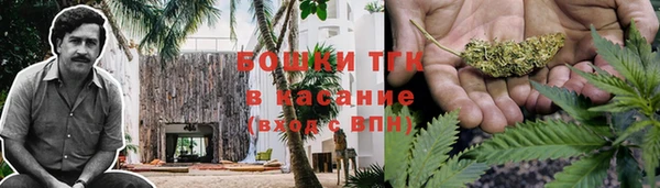 ГАЛЛЮЦИНОГЕННЫЕ ГРИБЫ Балабаново