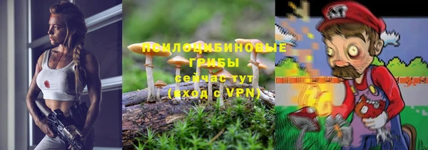 ГАЛЛЮЦИНОГЕННЫЕ ГРИБЫ Балабаново